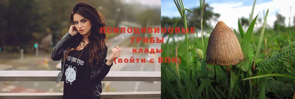 соль ск Алексеевка