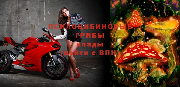 бутират Алзамай